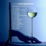 CatanDOSOMONTANOonline-2