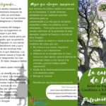 Exterior de folleto