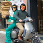 The Monkeys by the monkeys