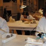 Trabajo en laboratorio de la Escuela Taller de Restauración Paleontológica 1