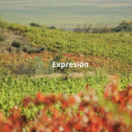 Viñedo_