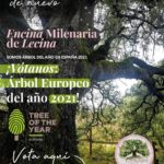 cartel-votacion-2021