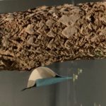 museo origami Zaragoza exposición temporal marzo 2021