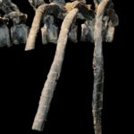 imagenes_El_dinosaurio_de_Aliaga_que_se_expone_en_Dinopolis_59e218e6